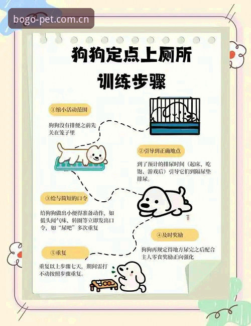 博狗怎么注册 博狗体育官网注册实用指南:从零开始轻松掌握操作全流程