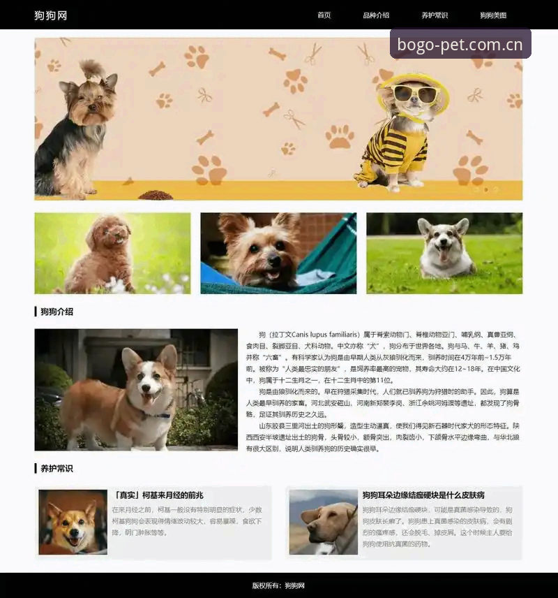 博狗官方网址是多少 - 博狗官方网站