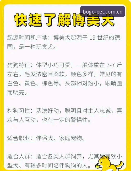 资深用户亲测分享：博狗竞猜必备攻略与实战经验总结