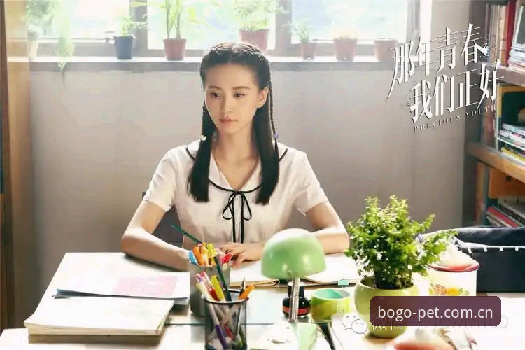 博狗苹果版最新动态：iOS用户如何快速进入博狗体育官网的全面解析